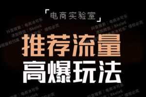 【捐赠29.9[红包]·《Z5734-「电商实验室」-《推荐流量高爆玩法》》】