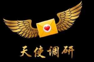 【捐赠9.9/月[红包]·《Z5912-天使调研》】 【原版无水印】