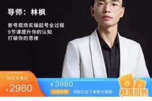 【捐赠39[红包]·《D0412-林枫线上课程2.0》