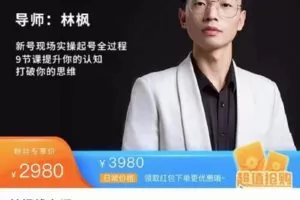 【捐赠39.9[红包]·《D0412-林枫线上课程2.0》】