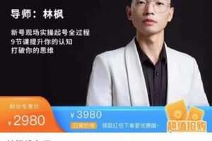 【捐赠39.9[红包]·《D0412-林枫线上课程2.0》】