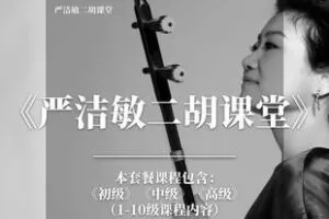 【捐赠268.0[红包]·《Z5970-全集课程：1-10级《严洁敏二胡课堂—考级系列课程》（无水印）》】 【原版无水印】