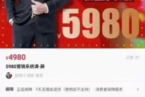 【捐赠79.9[红包]·《M0044-薛辉-5980营销系统课-薛》】