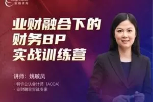 【捐赠59.9[红包]·《安越咨询-业财融合下的财务BP实战训练营》】