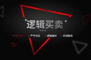 【捐赠49.9[红包]·《Z6155-逻辑买卖-芒剑客实战》】 【原版无水印】