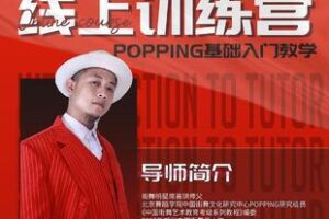 【捐赠49.9[红包]·《Z6073-POPPING零基础入门课程》】 【原版无水印】