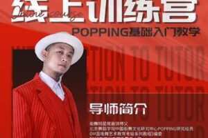 【捐赠150[红包]·《Z6073-POPPING零基础入门课程》】
