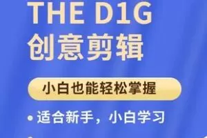 【捐赠49.9[红包]·《Z6240-THE_D1G创意剪辑》】 【原版无水印】
