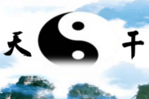 【捐赠16.9[红包]·《Z2851-炳森国学讲堂-十天干精讲》】