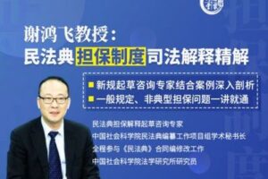 【捐赠16.9[红包]·《Z0397-名家讲堂-谢鸿飞教授精解民法典担保制度司法解释》】