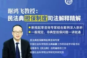 【捐赠16.9[红包]·《Z0397-名家讲堂-谢鸿飞教授精解民法典担保制度司法解释》】