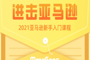 【捐赠29.9[红包]·《Z1710-MoonSees跨境电商-2022亚马逊新手入门课程》】