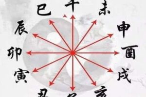 【捐赠16.9[红包]·《Z2850-炳森国学讲堂-十二地支精讲》】