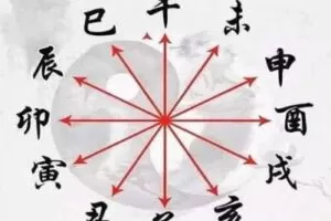 【捐赠16.9[红包]·《Z2850-炳森国学讲堂-十二地支精讲》】