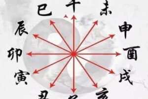 【捐赠16.9[红包]·《Z2850-炳森国学讲堂-十二地支精讲》】
