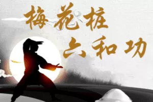 【捐赠19.9[红包]·《经方学堂-梅花桩六和功》】