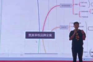 【捐赠19.9[红包]·《D0439-电商全案策划：开启草根品牌时代贾真》】