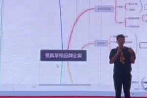 【捐赠19.9[红包]·《D0439-电商全案策划：开启草根品牌时代贾真》】