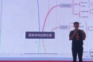 【捐赠19.9[红包]·《D0439-电商全案策划：开启草根品牌时代贾真》】