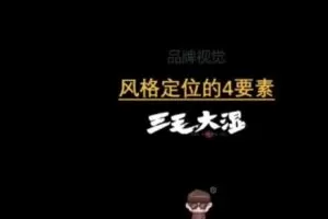 【捐赠19.9[红包]·《D0446-三毛大湿会VIP会员》】