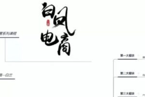 【捐赠29.9[红包]·《D0452-淘宝运营基础课程白凤电商》】