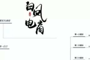 【捐赠29.9[红包]·《D0452-淘宝运营基础课程白凤电商》】