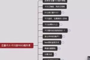 【捐赠19.9[红包]·《D0456-巨量千川线上提升课{千川从0-1}》】