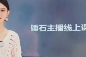 【捐赠19.9[红包]·《D0458-锤石传媒金牌主播线上课》】