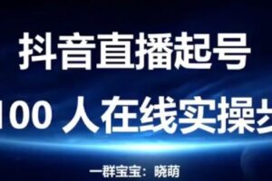 【捐赠29.9[红包]·《D0460-一群宝宝2022直播带货运营主播系统综合课》】