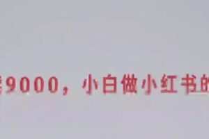 【捐赠19.9[红包]·《D0461-暖石零起步做小红书大VA73暖石零起步做小红书大V》】