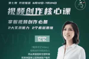 【捐赠29.9[红包]·《Z0296-极简无它Video-【核心课】第七期已结束》】