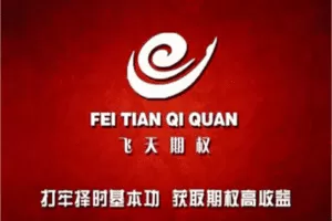 【捐赠99.9[红包]·《Z6847-飞天期权聚英汇-飞天裸K择时课》】 【原版无水印】