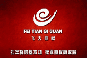 【捐赠99.9[红包]·《Z6847-飞天期权聚英汇-飞天裸K择时课》】 【原版无水印】