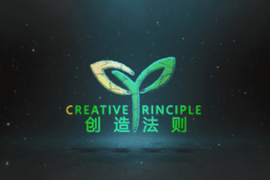 【捐赠29.9[红包]·《Z0301-真爱之门-创造法则入门版》】