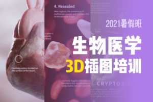 【捐赠89.9[红包]·《一目可视-【录制课】生物医学 3D插图培训》】 【原版无水印】