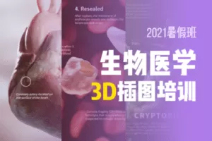 【捐赠89.9[红包]·《一目可视-【录制课】生物医学 3D插图培训》】 【原版无水印】