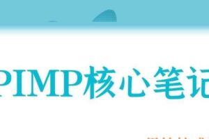 PIMP 核心笔记（编号0503320）