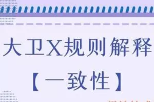 大卫X规则解释【一致性】（编号0503250）