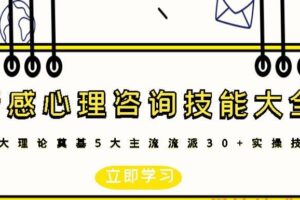 情感心理咨询技能大全（编号0503394）