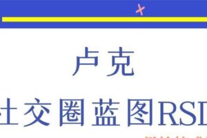 卢克《社交圈蓝图RSD》（编号0503256）