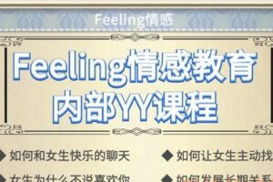 Feeling情感内部yy课程