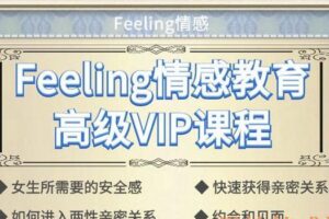 Feeling情感高级VIP课程