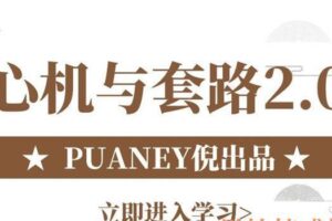 PUANEY倪《心机与套路2.0》