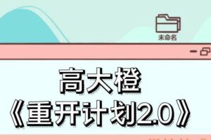 高大橙《重开计划2.0》（编号0503379）