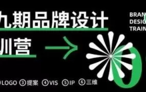 卢帅品牌设计特训营第9期2021年