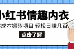 【搬砖项目】小红书0成本情趣内衣搬砖项目，轻松日赚几百+