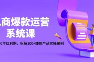 电商爆款运营系统课：迎接未来10年红利期，拆解100+爆款产品实操案例