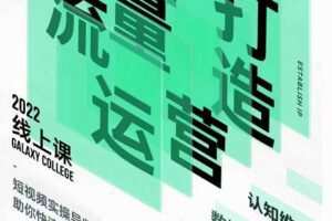 大蓝流量运营&个人ip打造课,短视频带货/爆款文案/流量运营/直播入门/镜头变现/流量商业