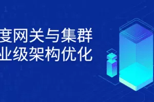 深度网关与集群企业级架构优化