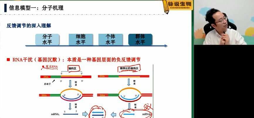徐京 高三生物2022年寒假班全国卷 1 1646691718 徐京 高三生物2022年寒假班全国卷